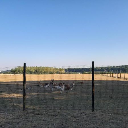 Lemen Huis Houwaart Tielt Екстериор снимка